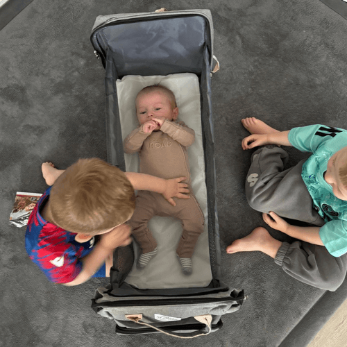 Bubs Travel Nest™